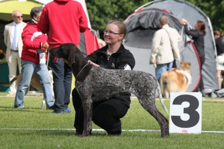 EEJV-14 EEV- 14 Kotalan Ava