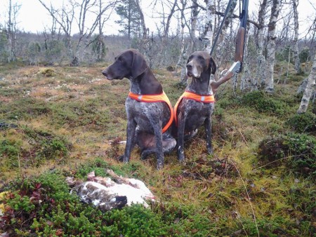 Ava ja Kalla töissä