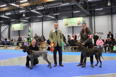 Avan ensimmäinen näyttely