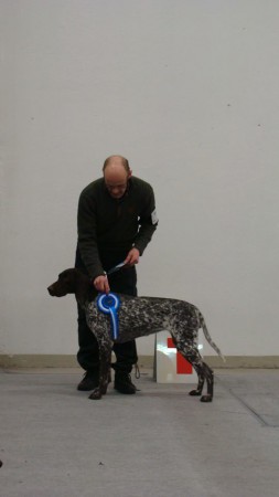 Aprin ensimmäinen näyttely