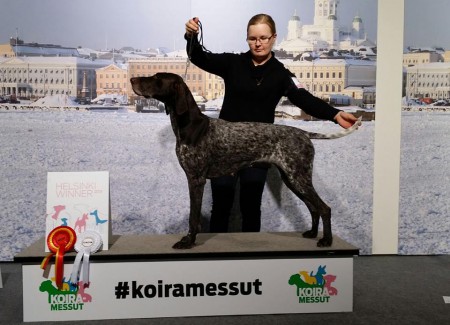 Ava Helsinki Winner 2015