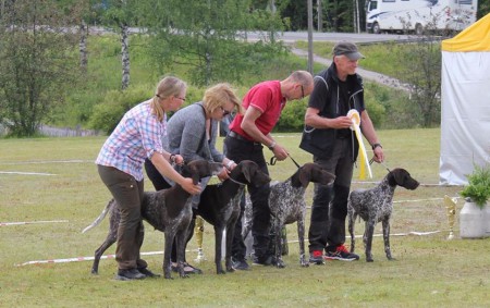 Saarijärvi KR 2017 BIS3- kasv